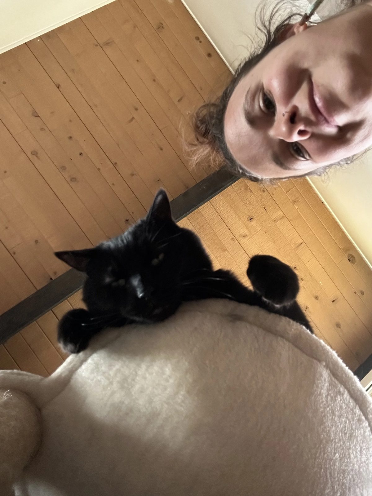 Lauren smiling upside down in a selfie beside a black cat resting on top of a plush cat tree